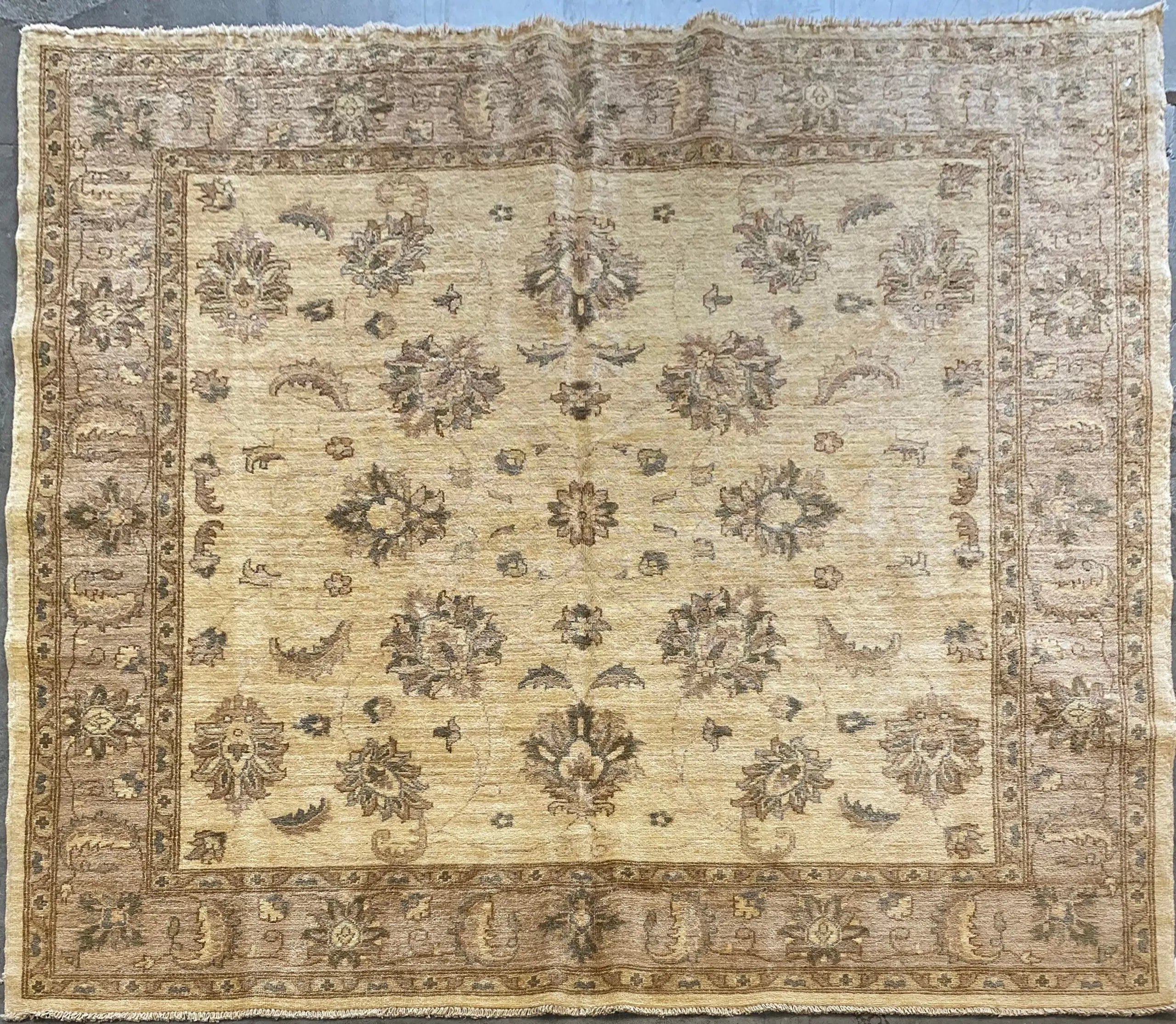 One Of The Kind Pakistani Hand-Knotted Rug 6'7" x 6'8"